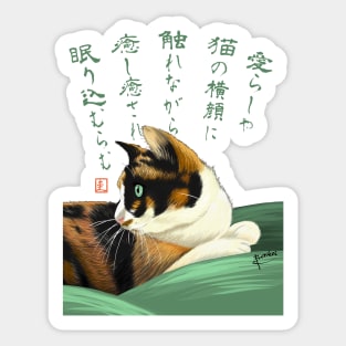 My lovely cat Sticker